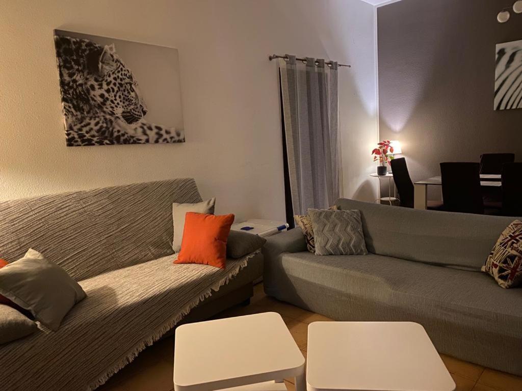 הוילה לה אוליבה Casa Morani מראה חיצוני תמונה